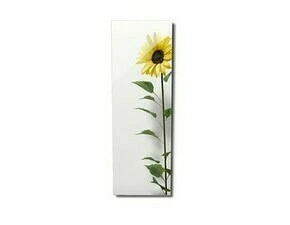 FENIX 11V5437351 ECOSUN 500 GS-Wifi Mirror