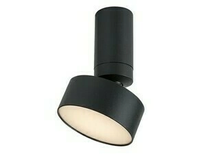 Stropní svítidlo Ovidia černá LED 10W RABALUX 71321