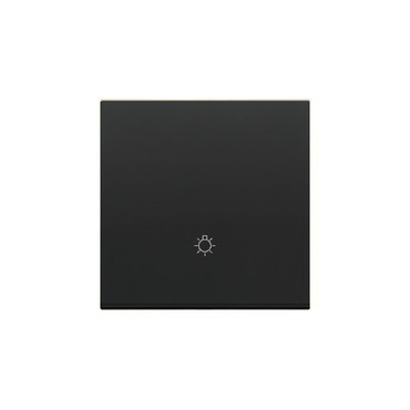 Kryt SIMON TKWS1/149, s piktogramem "světlo", 1 násobný, pro přístroje SP1M, černá matná