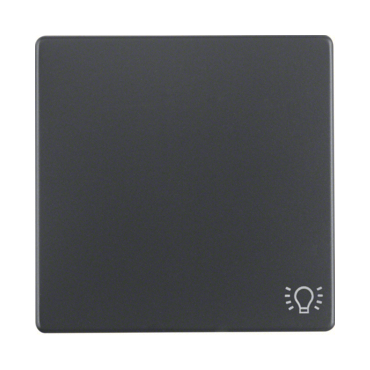 HAG 16206046 Kolébka s potiskem - světlo, Berker Q.x, antracit, sametová