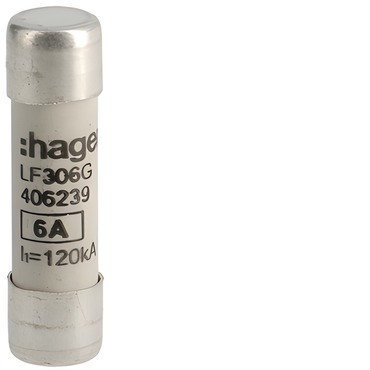 HAG LF306G Pojistka válcová, velikost 10x38, 6A gG, 500V AC