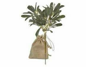 EMOS DCTW29 14LED MISTLETOE BRANCH 2AA WW