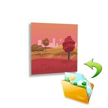 FENIX 5437494 Ecosun 300 GS s potiskem Bezrámový skleněný panel 300 W s potiskem