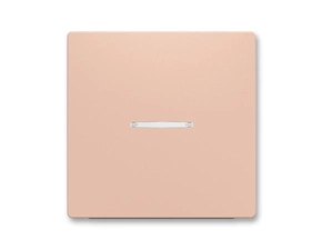 Kryt spínače ABB Zoni 3559T-A00653 242, pudrová, jednoduchý, s průzorem