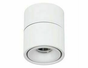 Svítidlo stropní EGLO LED-AUF-/EINBAUL.O100 WEISS 'BOHOYO'