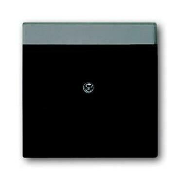 Kryt zásuvky ABB Future 2CKA001710A3910, mechová černá, komunikační, s cl.(pro 2 zás.); 1800-885
