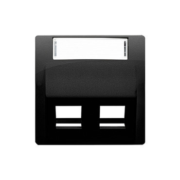 Kryt telekom. zás. SIMON BMGPS2P.02/49, PANDUIT 2 nás., zkosený, s popisným polem, černá mat