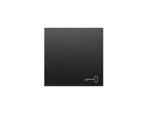 Kryt SIMON DKWK1/49, s piktogramem "klíč" pro 1 násobné spínače, černá matná metalizovaná