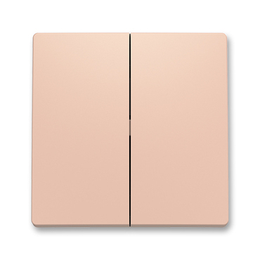 Kryt spínače ABB Zoni 3559T-A00652 242, pudrová, dělený