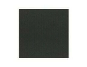 Záslepka SIMON 10001800-238, černá matná