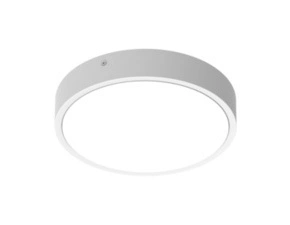 LED svítidlo přisazené LEDVANCE BLKH RD 300 P 17W CPS WT