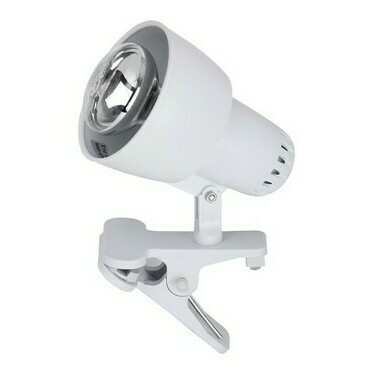 Stolní lampa Clip bílá E14 1×40W RABALUX 4356