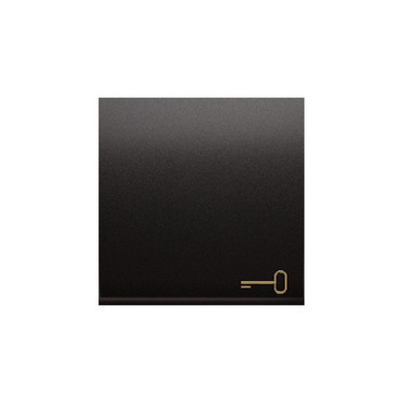 Kryt SIMON DKWK1/48, s piktogramem "klíč" pro 1 násobné spínače, antracitová metalizovaná