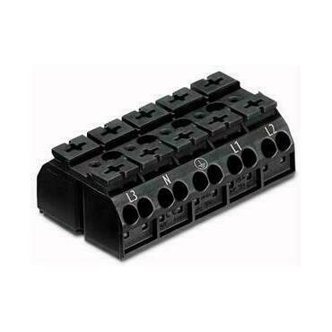 WAGO 862-2525 4vodičová přístrojová přípojná svorka