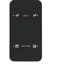 HAG 75142165 Dotykový sensor 2-násobný komfort, Berker R.1, sklo, černá
