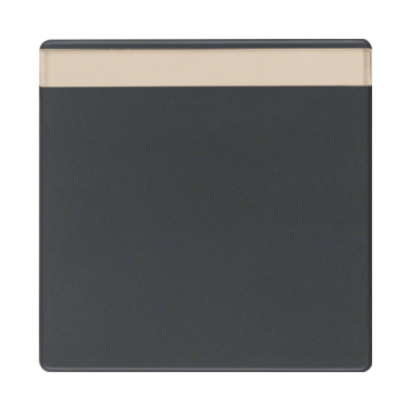 HAG 16266086 Kolébka s popisovým polem, Berker Q.x, antracit, sametová