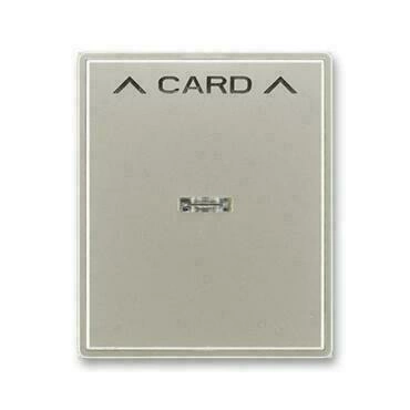 Kryt spínače ABB Time 3559E-A00700 32, starostříbrná, kartového, s čirým průzorem