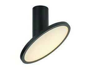 Stropní svítidlo Ovidia černá LED 20W RABALUX 71323