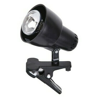 Stolní lampa Clip černá E14 1×40W RABALUX 4357