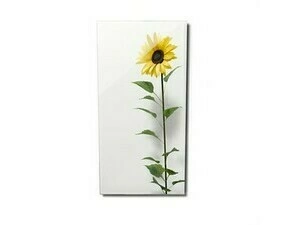 FENIX 11V5437361 ECOSUN 600 GS-Wifi Mirror