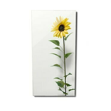 FENIX 11V5437361 ECOSUN 600 GS-Wifi Mirror