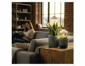 EMOS Z7901 LED GROW PĚSTEBNÍ LAMPA DEŠTNÍK