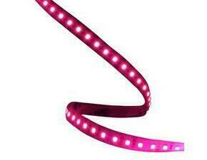 LED pásek LED POL ORO-STRIP-600L-2835-NWD-BRIGHT-PINK, 13,1W/1m, 5 m, RŮŽOVÁ BARVA