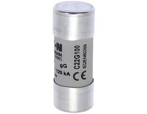 EATON C22G100 C22G100 Válcová pojistka GG 500V AC 100A C22(22,2x58mm)