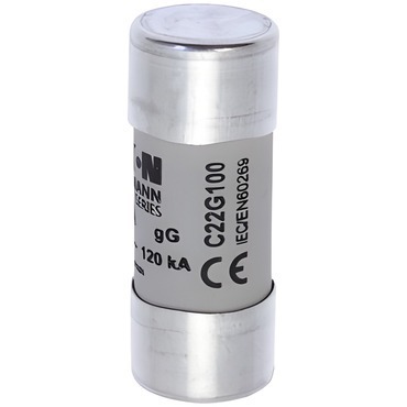 EATON C22G100 C22G100 Válcová pojistka GG 500V AC 100A C22(22,2x58mm)