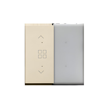 Kryt SIMON 55 TKE23/144, pro elektronické spínače a ovladače, 1/2násobný, champagne matná