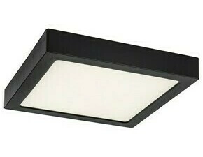 Stropní svítidlo Shaun černá LED 24W RABALUX 71203