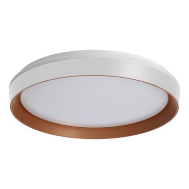 Nástěnné a stropní LED svítidlo LED-POL Xiera LED 45W CCT W/G