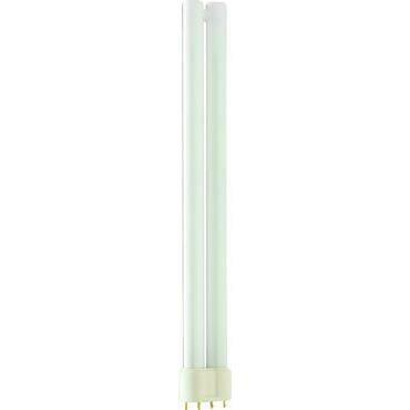 MASTER PL-L 24W/840/4P 1CT/25