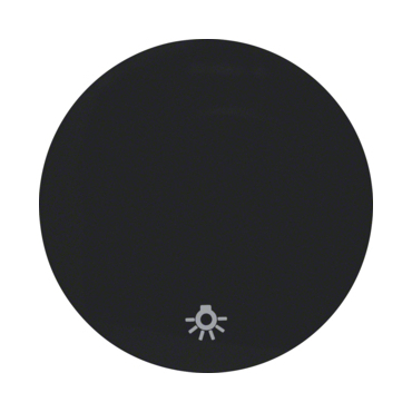 HAG 16202035 Kolébka s potiskem - světlo, Berker R.1/R.3, černá, lesk