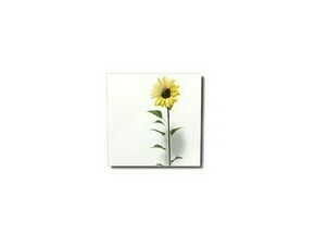 FENIX 11V5437341 ECOSUN 300 GS-Wifi Mirror
