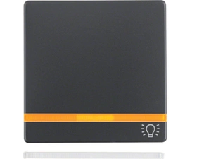 HAG 16216076 Kolébka s 2 výměnnými čočkami a potiskem - světlo, Berker Q.x, antracit, sametová