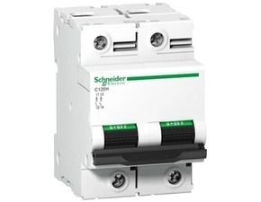 Jistič dvoupolový SCHNEIDER A9N18500 C120H 2P 63A D