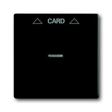 Kryt spínače ABB Future 2CKA001710A3905, mechová černá, kartového, s čirým průz.; 1792-885