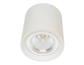 LED svítidlo bodové ECOPLANET COB, 30W, 4100K, bílé