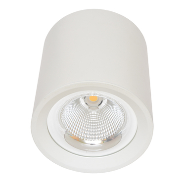 LED svítidlo bodové ECOPLANET COB, 30W, 4100K, bílé