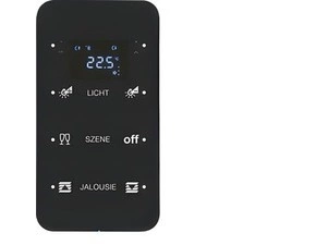 HAG 75643165 Dotykový sensor 3-násobný s termostatem, Berker R.1, sklo, černá