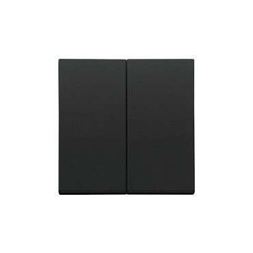 Kryt SIMON TKZW2/X/149, bez piktogramu, 2 násobný, pro přístroje SZP2M a SZW2M, černá matná