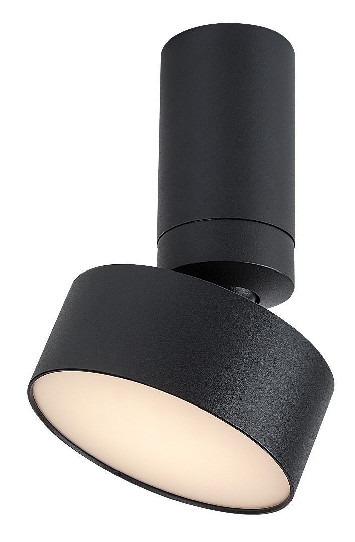 Stropní svítidlo Ovidia černá LED 10W RABALUX 71321