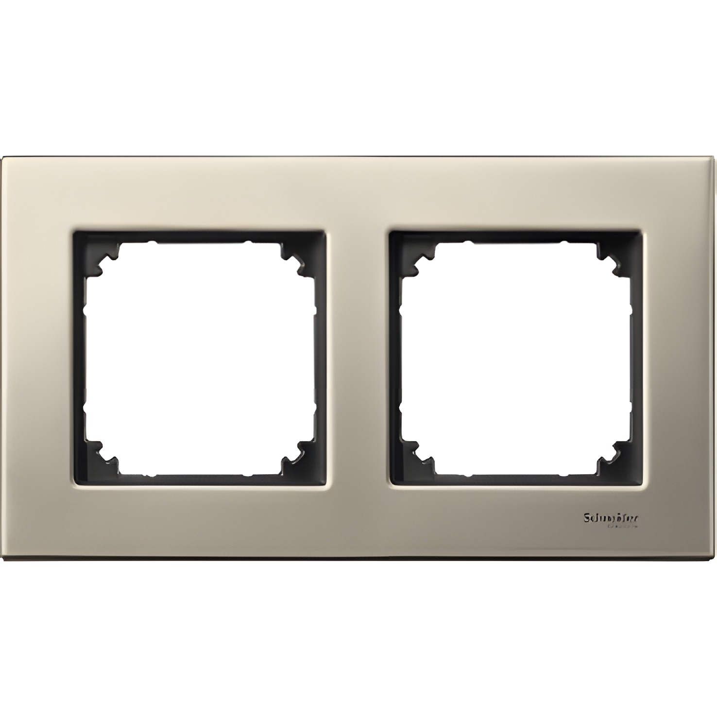 SCHN MTN403205 Merten - Rámeček dvojnásobný M-Elegance, Titanium
