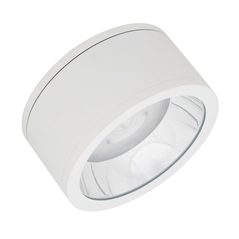 LED svítidlo přisazené LEDVANCE DL SURFACE DN250P 45W830 36D IP65WT, bílá