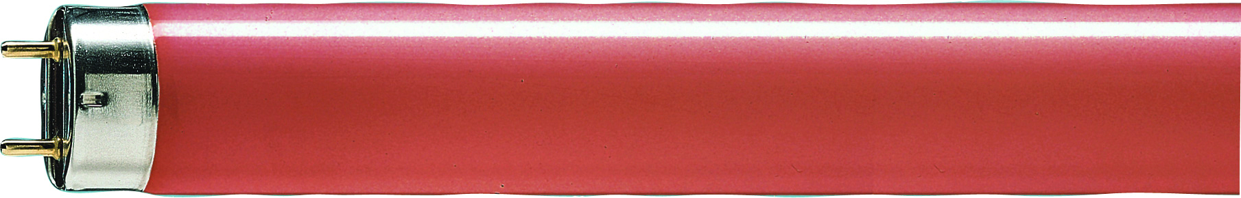 Zářivka lineární Philips MASTER TL-D 36W/ 15