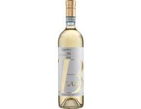 Langhe Arneis Blangé DOC BIO