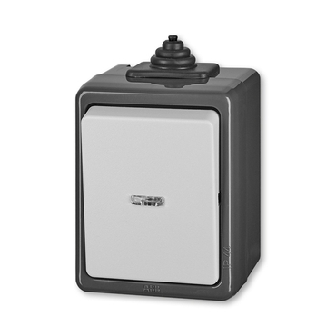 ABB 3553-02922 S Spínač dvojpólový, s čirým průzorem, se signalizační doutnavkou, IP44 25-IPxx