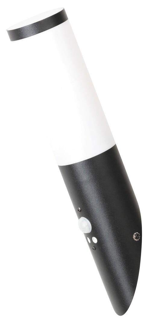 Venkovní nástěnné svítidlo Black torch matná černá E27 1×25W RABALUX 8146