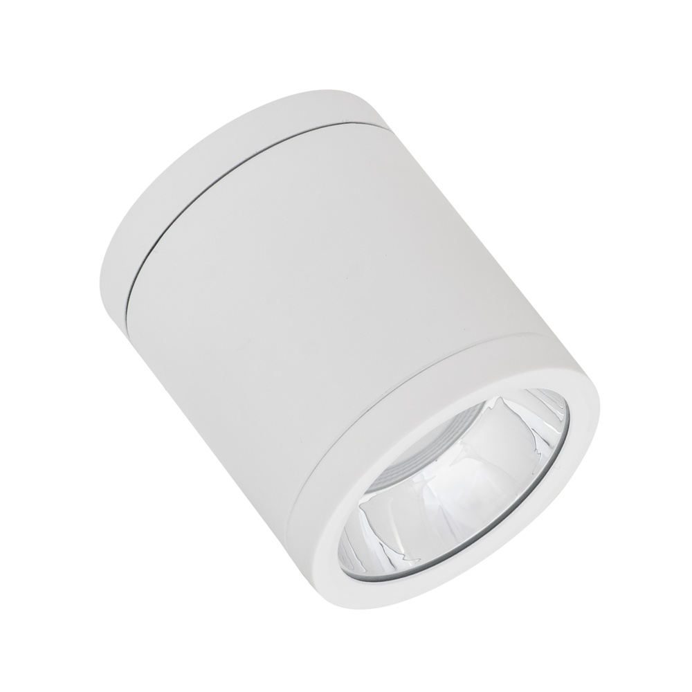 LED svítidlo přisazené LEDVANCE DL SURFACE DN90P 15W840 60D IP65 WT, bílá